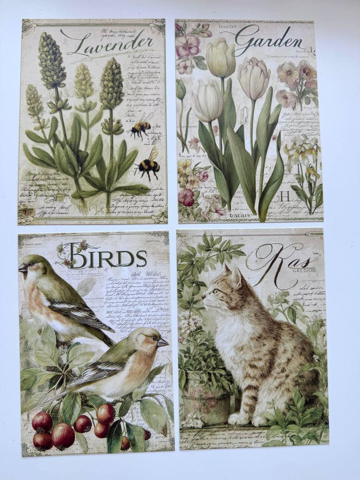 Set of 20 Vintage Garden Postcards 14.5 x 10 cm, Botanical Birds Cat Flowers, Cottagecore Ephemera, Junk Journal Scrapbooking Cards