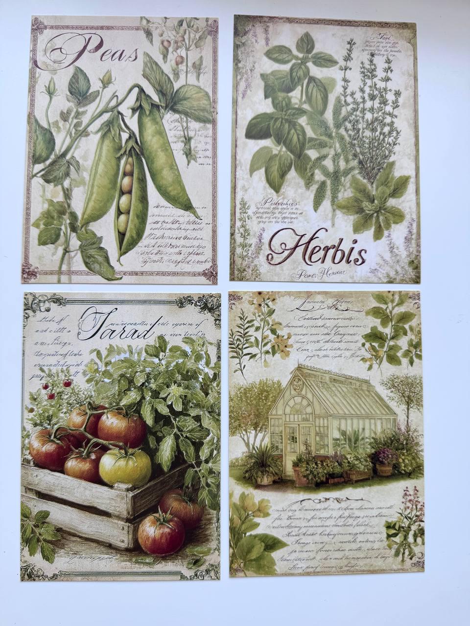 Set of 20 Vintage Garden Postcards 14.5 x 10 cm, Botanical Birds Cat Flowers, Cottagecore Ephemera, Junk Journal Scrapbooking Cards