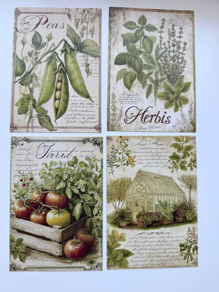 Set of 20 Vintage Garden Postcards 14.5 x 10 cm, Botanical Birds Cat Flowers, Cottagecore Ephemera, Junk Journal Scrapbooking Cards