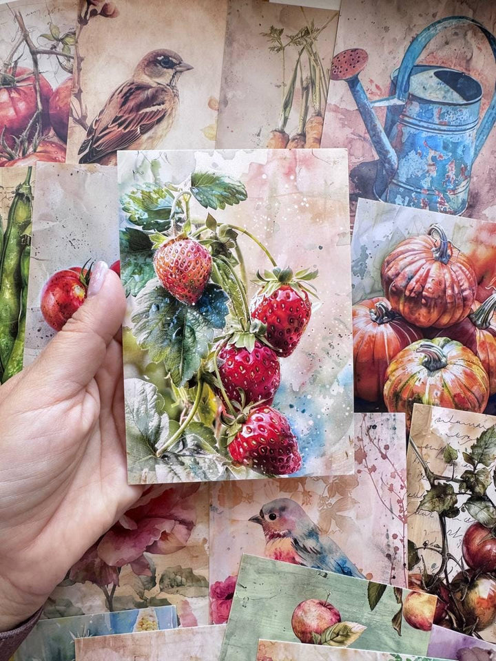 Set of 20 Garden Postcards 14.5 x 10 cm, Watercolour Fruit Vegetables Birds, Cottagecore Ephemera, Junk Journal Scrapbooking Cards