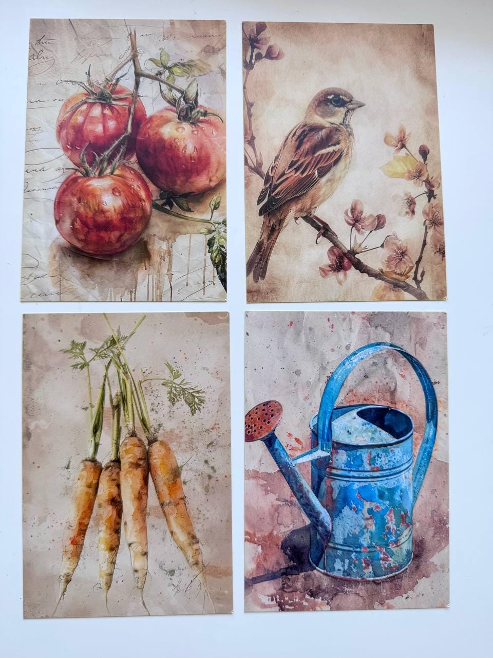 Set of 20 Garden Postcards 14.5 x 10 cm, Watercolour Fruit Vegetables Birds, Cottagecore Ephemera, Junk Journal Scrapbooking Cards