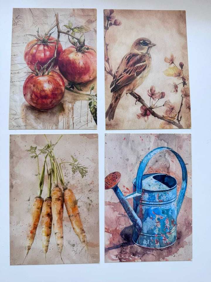 Set of 20 Garden Postcards 14.5 x 10 cm, Watercolour Fruit Vegetables Birds, Cottagecore Ephemera, Junk Journal Scrapbooking Cards