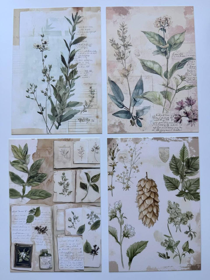 Set of 20 Vintage Botanical Postcards 14.5 x 10 cm, Wildflower Herb Cards, Botanical Ephemera, Junk Journal Scrapbooking Supplies