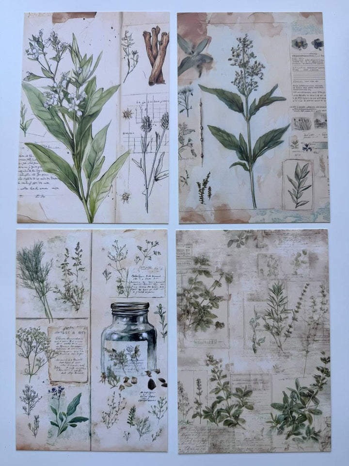 Set of 20 Vintage Botanical Postcards 14.5 x 10 cm, Wildflower Herb Cards, Botanical Ephemera, Junk Journal Scrapbooking Supplies