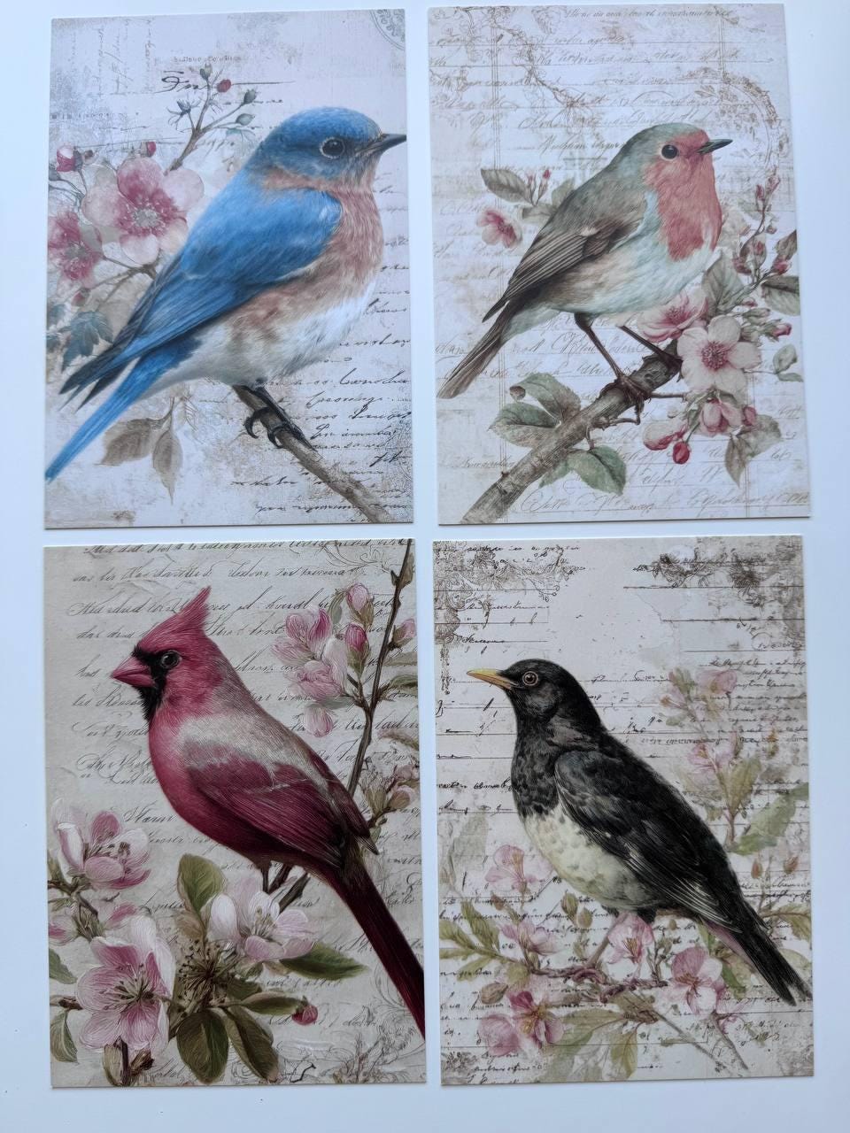 Set of 20 Vintage Bird Postcards 14.5 x 10 cm, Floral Bird Art Cards, Botanical Ephemera, Junk Journal Scrapbooking Supplies