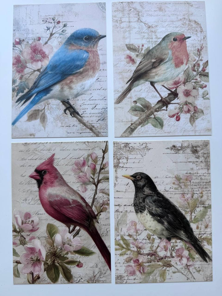 Set of 20 Vintage Bird Postcards 14.5 x 10 cm, Floral Bird Art Cards, Botanical Ephemera, Junk Journal Scrapbooking Supplies