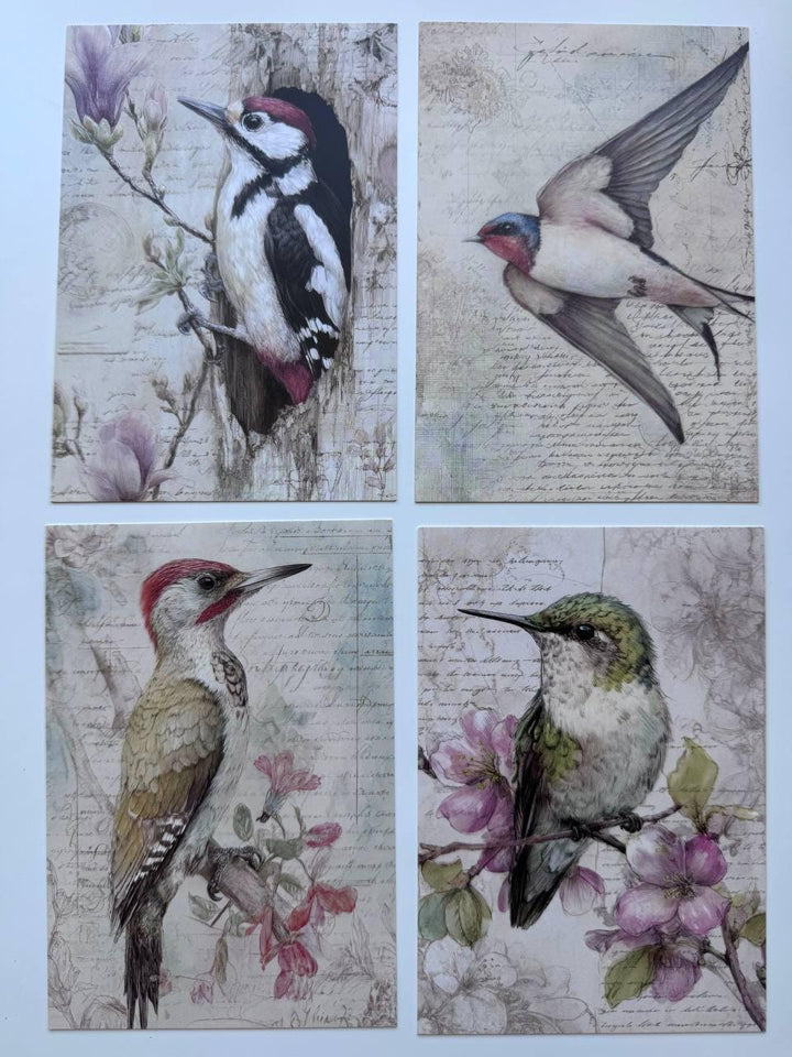 Set of 20 Vintage Bird Postcards 14.5 x 10 cm, Floral Bird Art Cards, Botanical Ephemera, Junk Journal Scrapbooking Supplies