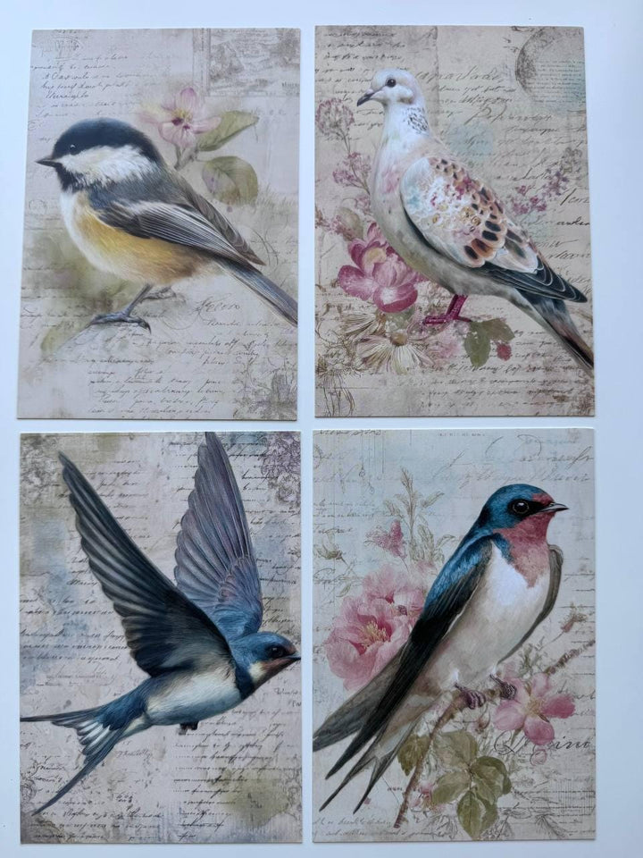 Set of 20 Vintage Bird Postcards 14.5 x 10 cm, Floral Bird Art Cards, Botanical Ephemera, Junk Journal Scrapbooking Supplies