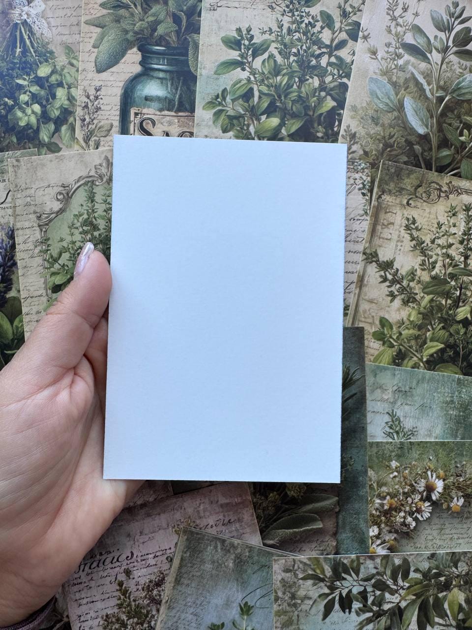 Set of 20 Vintage Herb Postcards 14.5 x 10 cm, Botanical Herb Cards, Sage Garden Ephemera, Junk Journal Scrapbooking Supplies