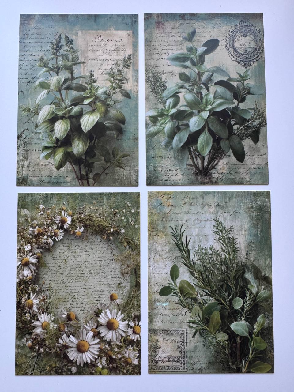 Set of 20 Vintage Herb Postcards 14.5 x 10 cm, Botanical Herb Cards, Sage Garden Ephemera, Junk Journal Scrapbooking Supplies