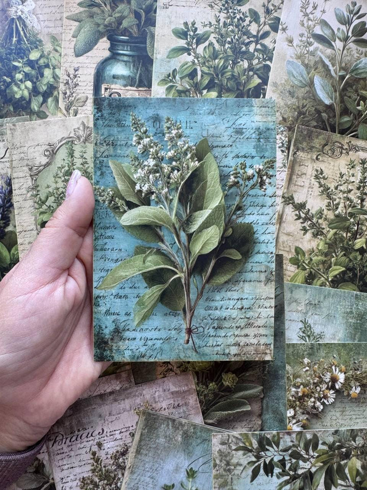 Set of 20 Vintage Herb Postcards 14.5 x 10 cm, Botanical Herb Cards, Sage Garden Ephemera, Junk Journal Scrapbooking Supplies