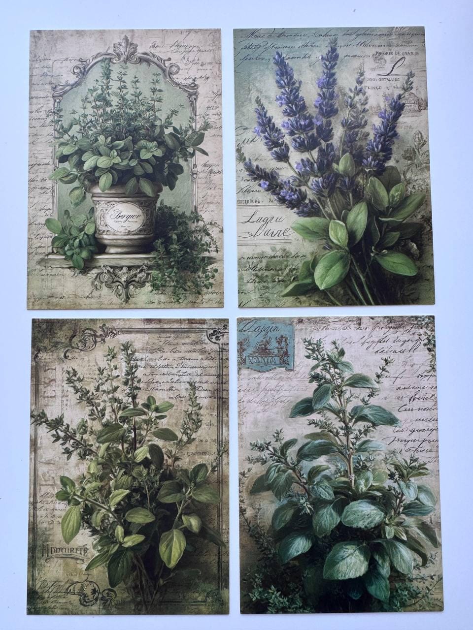 Set of 20 Vintage Herb Postcards 14.5 x 10 cm, Botanical Herb Cards, Sage Garden Ephemera, Junk Journal Scrapbooking Supplies