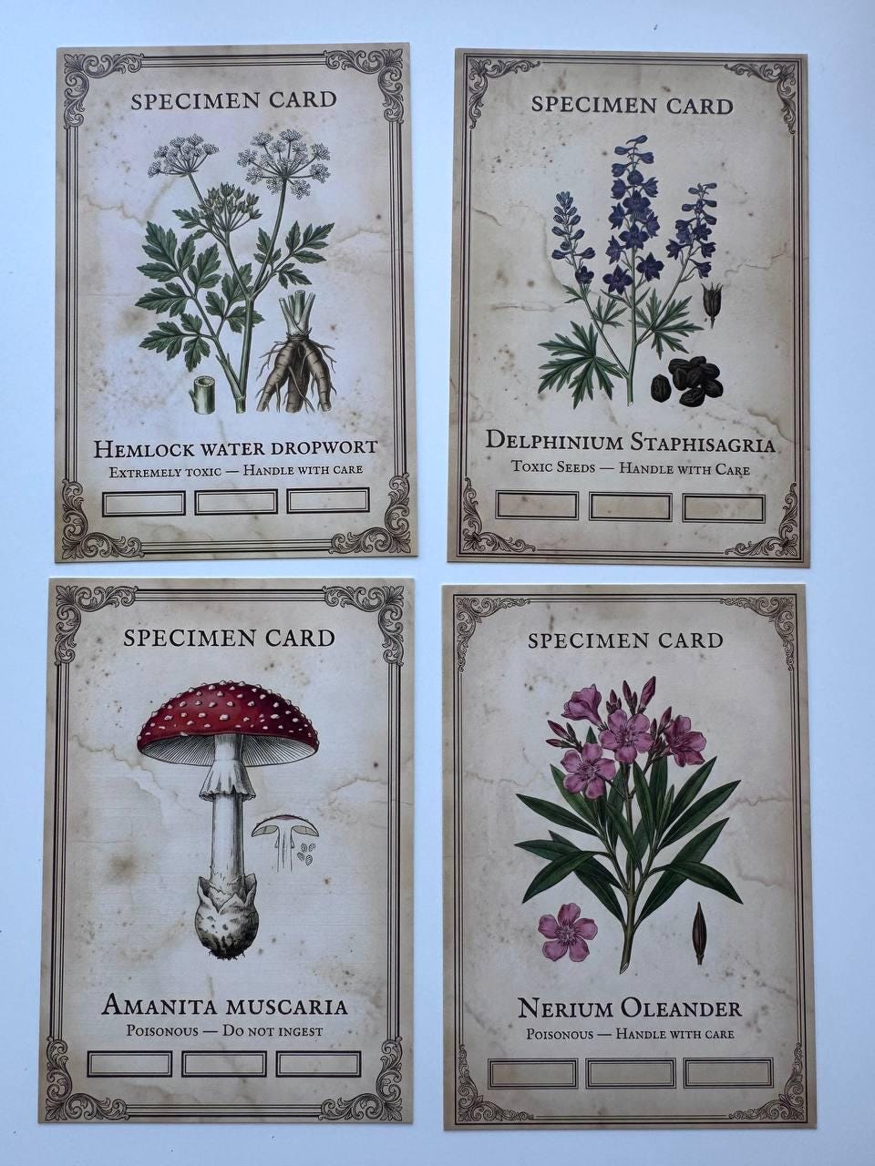 Set of 20 Gothic Botanical Postcards 14.5 x 10 cm, Poison Plant Specimen Cards, Vintage Apothecary Junk Journal Supplies