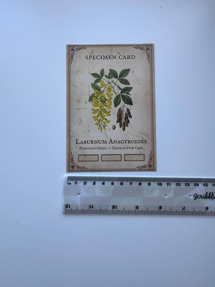 Set of 20 Gothic Botanical Postcards 14.5 x 10 cm, Poison Plant Specimen Cards, Vintage Apothecary Junk Journal Supplies