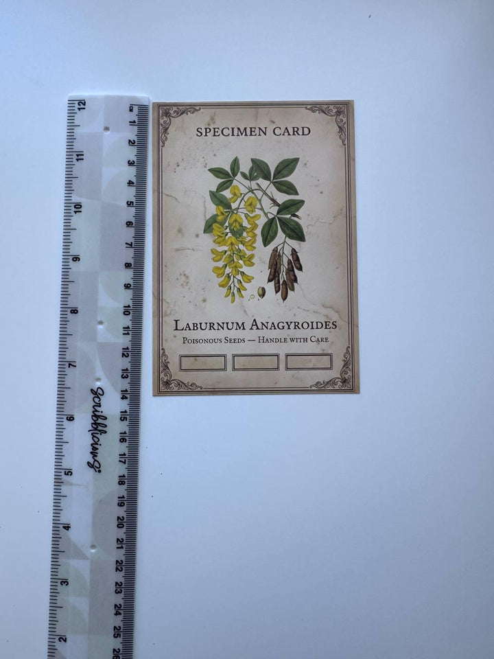 Set of 20 Gothic Botanical Postcards 14.5 x 10 cm, Poison Plant Specimen Cards, Vintage Apothecary Junk Journal Supplies