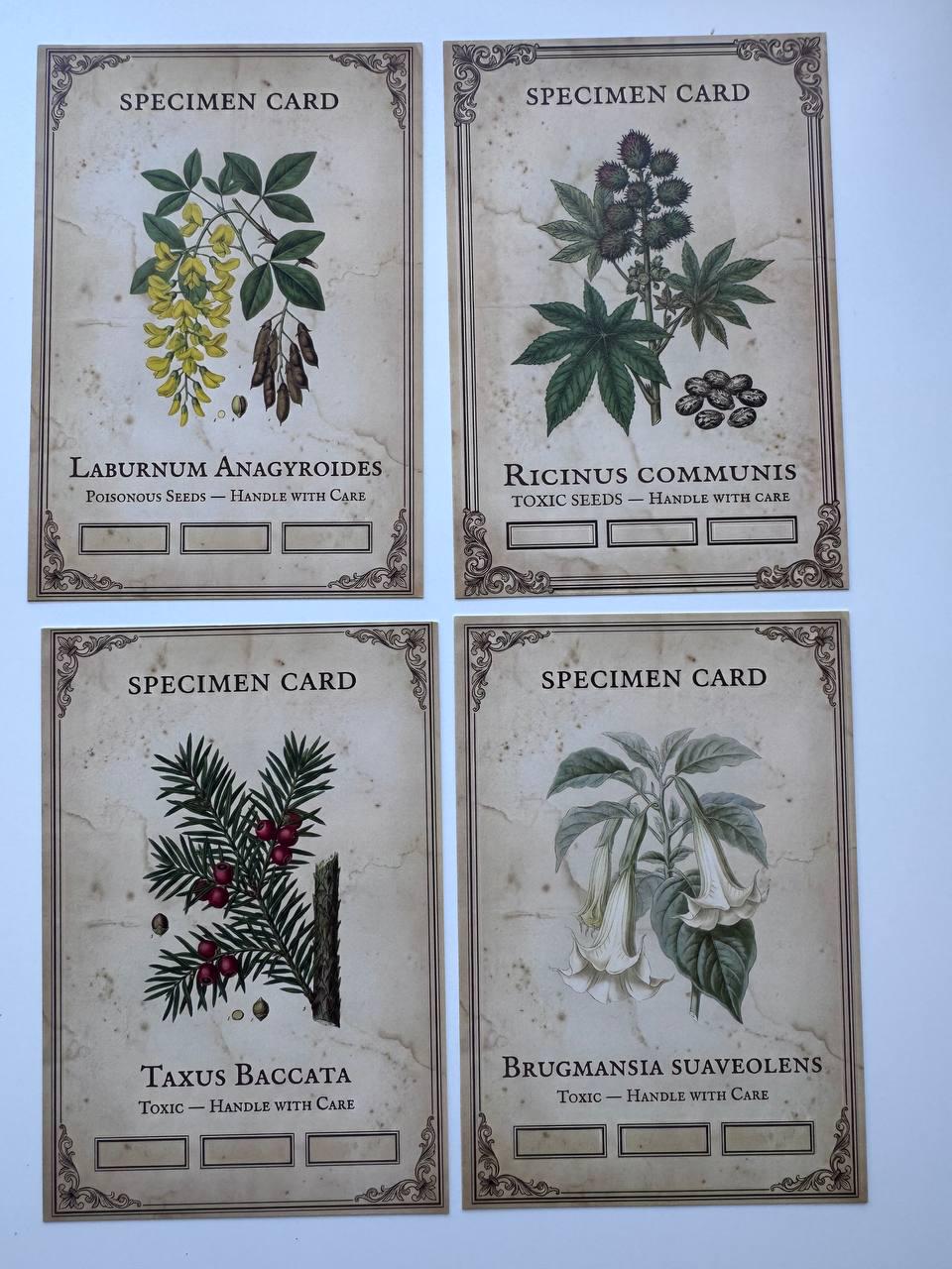 Set of 20 Gothic Botanical Postcards 14.5 x 10 cm, Poison Plant Specimen Cards, Vintage Apothecary Junk Journal Supplies