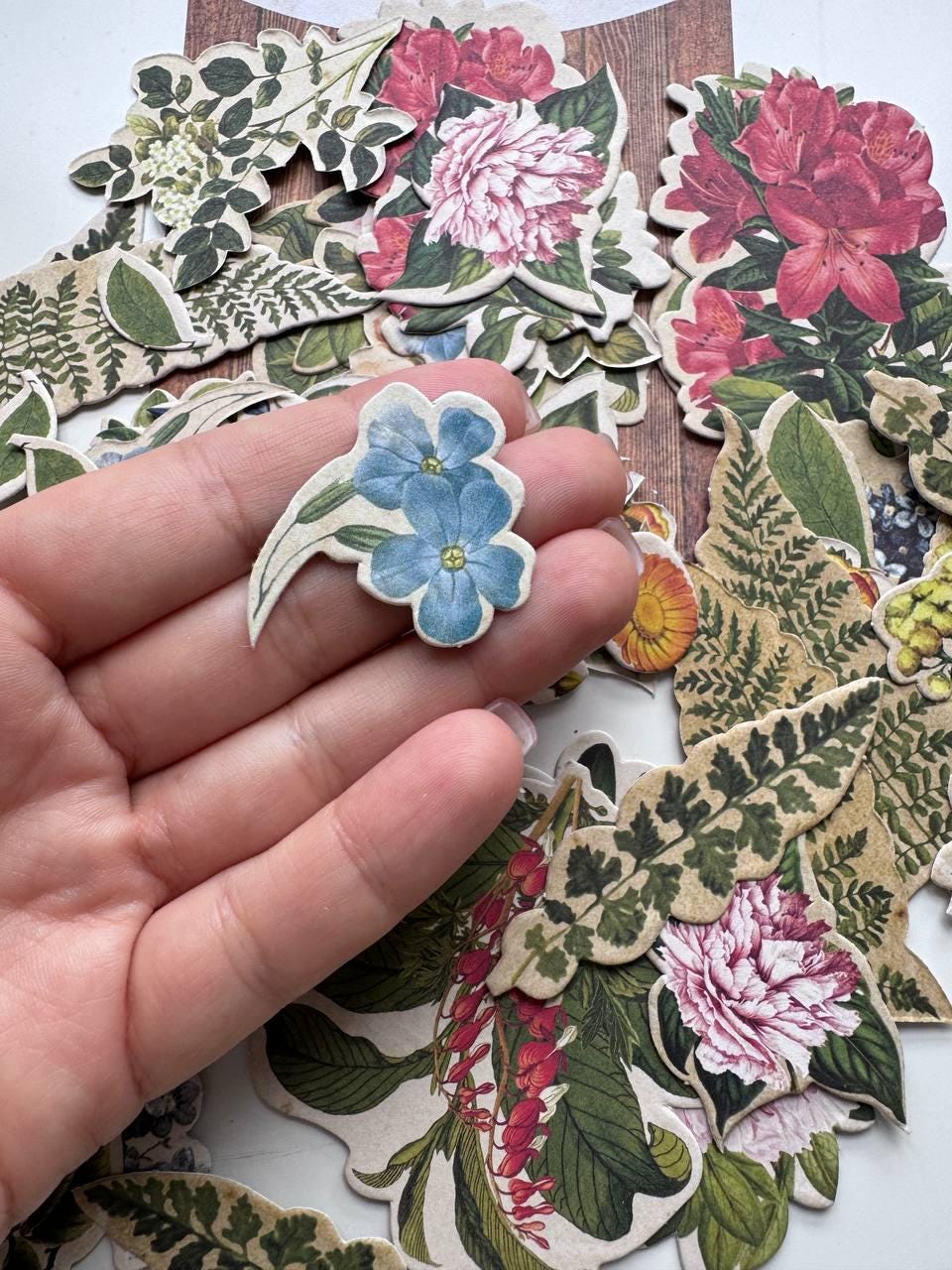 58 Summer Botanical Die Cuts, Colourful Floral Ephemera, Cardstock Pieces, NOT Stickers, No Adhesive, Junk Journal Supplies