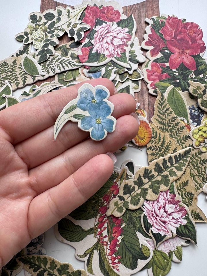 58 Summer Botanical Die Cuts, Colourful Floral Ephemera, Cardstock Pieces, NOT Stickers, No Adhesive, Junk Journal Supplies