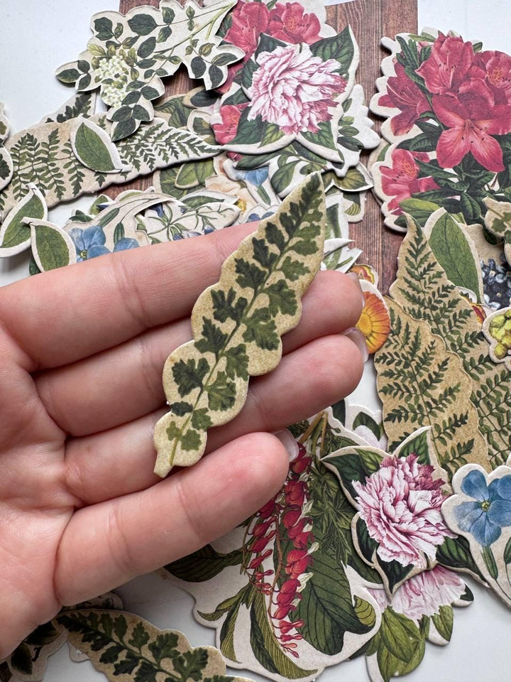 58 Summer Botanical Die Cuts, Colourful Floral Ephemera, Cardstock Pieces, NOT Stickers, No Adhesive, Junk Journal Supplies
