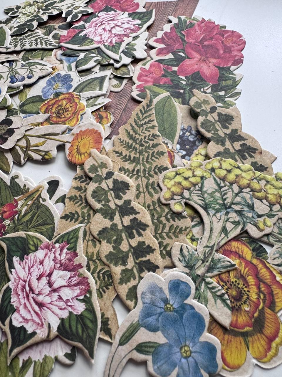 58 Summer Botanical Die Cuts, Colourful Floral Ephemera, Cardstock Pieces, NOT Stickers, No Adhesive, Junk Journal Supplies