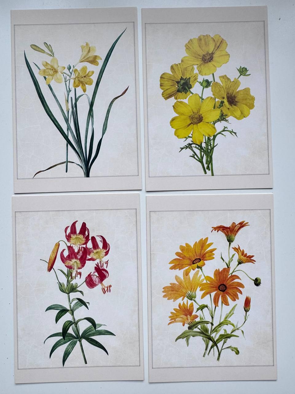 Set of 20 Botanical Flower Postcards 14.5x10 cm, Vintage Floral Cards, Botanical Illustrations, Junk Journal Ephemera, Scrapbook Supplies