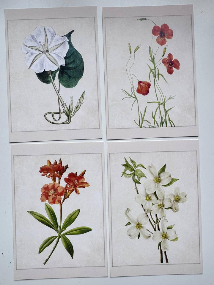 Set of 20 Botanical Flower Postcards 14.5x10 cm, Vintage Floral Cards, Botanical Illustrations, Junk Journal Ephemera, Scrapbook Supplies