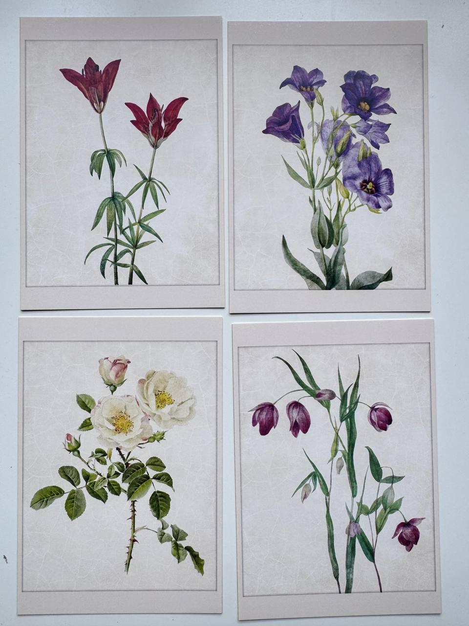 Set of 20 Botanical Flower Postcards 14.5x10 cm, Vintage Floral Cards, Botanical Illustrations, Junk Journal Ephemera, Scrapbook Supplies