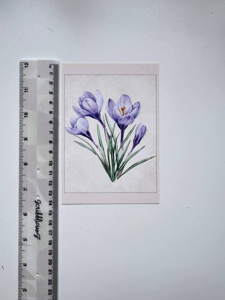Set of 20 Botanical Flower Postcards 14.5x10 cm, Vintage Floral Cards, Botanical Illustrations, Junk Journal Ephemera, Scrapbook Supplies