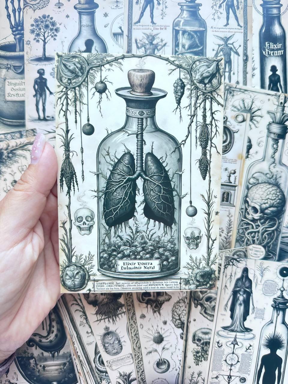 Set of 20 Gothic Oddities Postcards 14.5x10 cm, Dark Apothecary Art Cards, Anatomy Curiosities, Halloween Junk Journal Ephemera Set