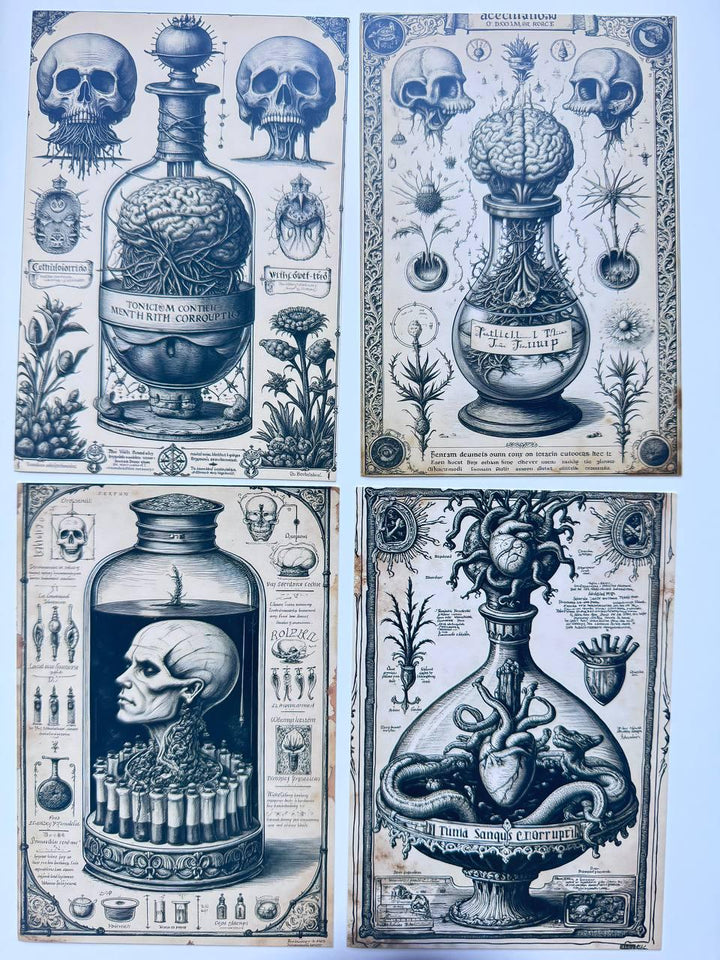 Set of 20 Gothic Oddities Postcards 14.5x10 cm, Dark Apothecary Art Cards, Anatomy Curiosities, Halloween Junk Journal Ephemera Set