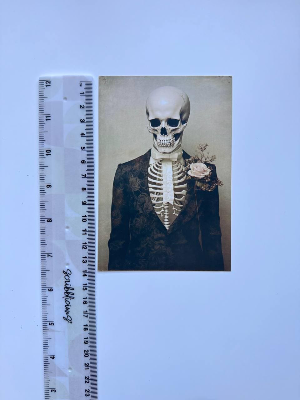 Set of 20 Gothic Skeleton Postcards, Victorian Skull Portrait Cards, Dark Halloween Ephemera, Vintage Horror Art, 14.5 x 10 cm