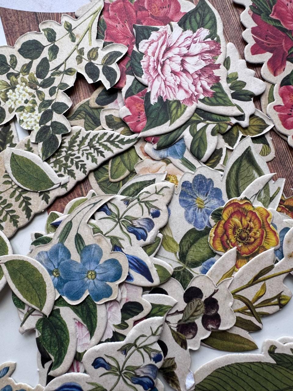 58 Summer Botanical Die Cuts, Colourful Floral Ephemera, Cardstock Pieces, NOT Stickers, No Adhesive, Junk Journal Supplies