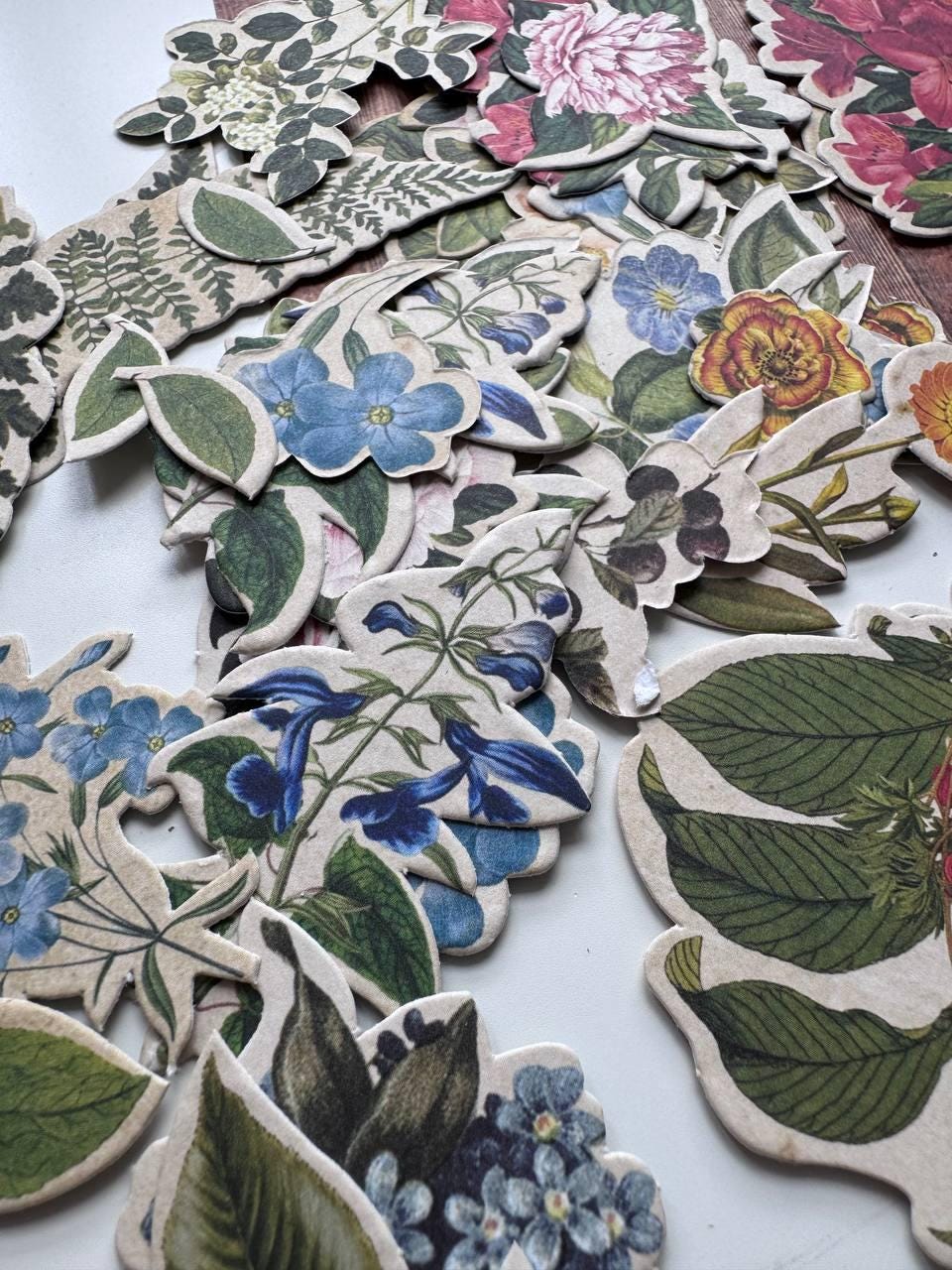 58 Summer Botanical Die Cuts, Colourful Floral Ephemera, Cardstock Pieces, NOT Stickers, No Adhesive, Junk Journal Supplies