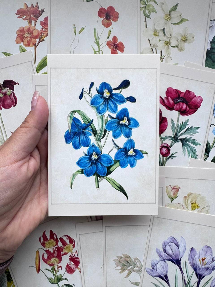 Set of 20 Botanical Flower Postcards 14.5x10 cm, Vintage Floral Cards, Botanical Illustrations, Junk Journal Ephemera, Scrapbook Supplies