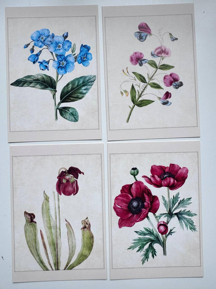 Set of 20 Botanical Flower Postcards 14.5x10 cm, Vintage Floral Cards, Botanical Illustrations, Junk Journal Ephemera, Scrapbook Supplies