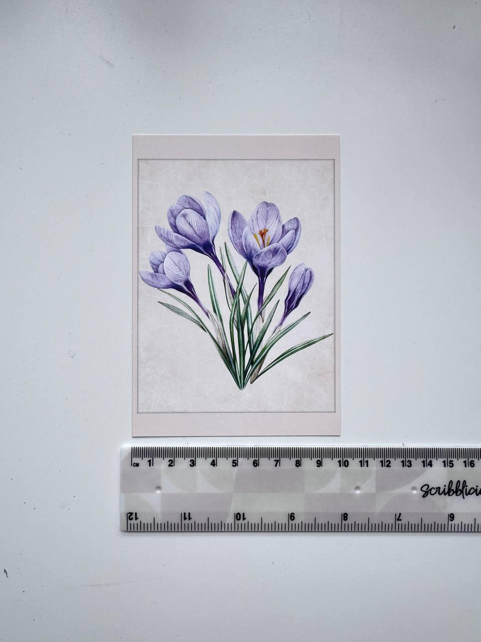 Set of 20 Botanical Flower Postcards 14.5x10 cm, Vintage Floral Cards, Botanical Illustrations, Junk Journal Ephemera, Scrapbook Supplies