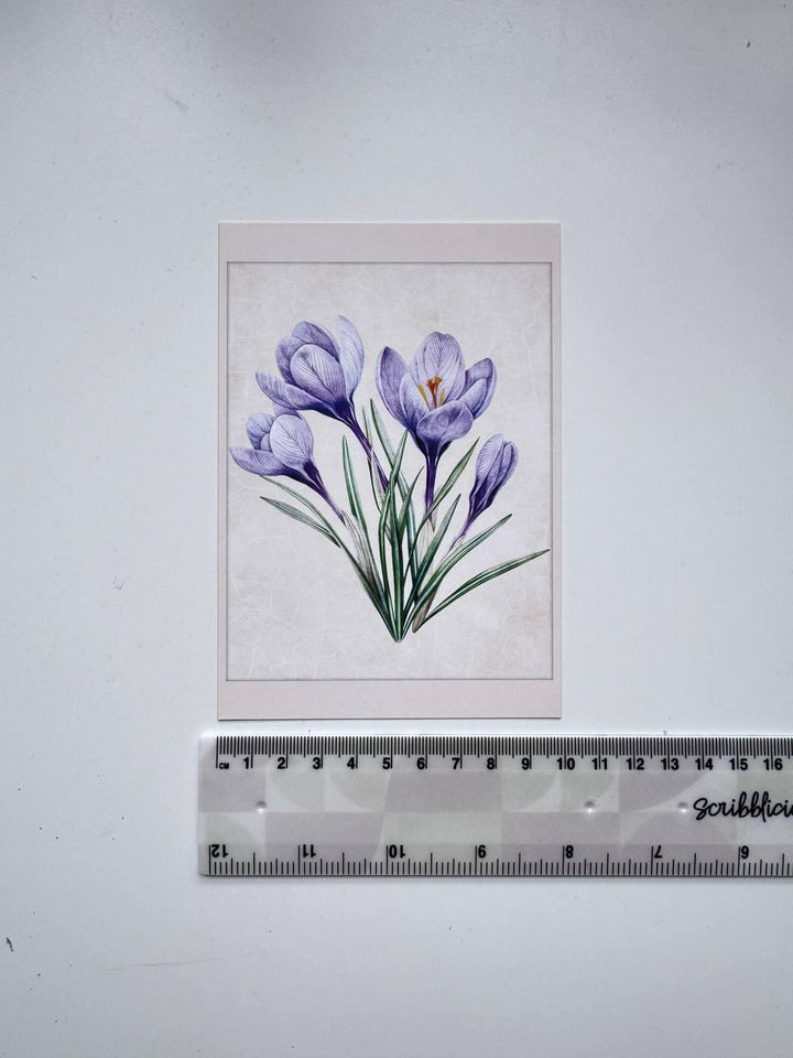 Set of 20 Botanical Flower Postcards 14.5x10 cm, Vintage Floral Cards, Botanical Illustrations, Junk Journal Ephemera, Scrapbook Supplies