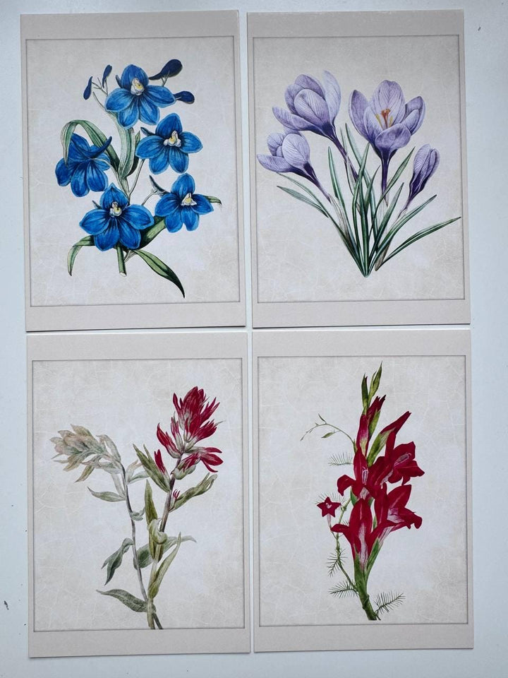 Set of 20 Botanical Flower Postcards 14.5x10 cm, Vintage Floral Cards, Botanical Illustrations, Junk Journal Ephemera, Scrapbook Supplies