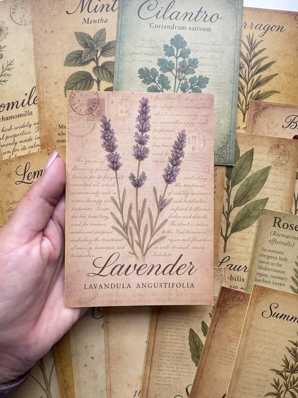Set of 20 Vintage Herb Postcards, Botanical Herbs & Medicinal Plants Cards, Lavender Mint Sage Prints, Junk Journal Ephemera Set