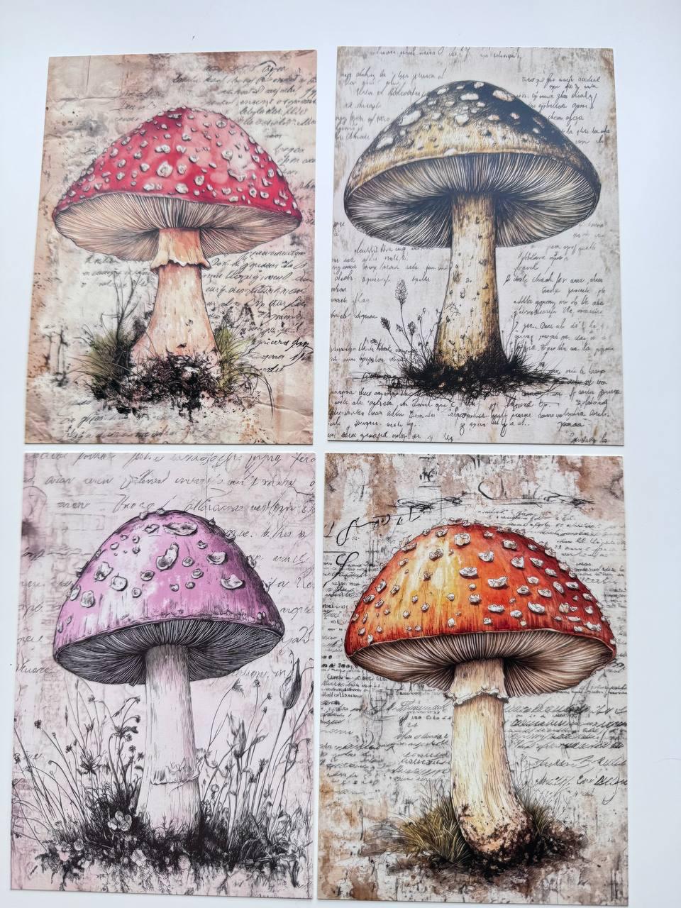 Set of 20 Vintage Mushroom Postcards, Botanical Fungi Cards, Cottagecore Junk Journal Ephemera, Scrapbooking Supplies, 14.5 x 10 cm