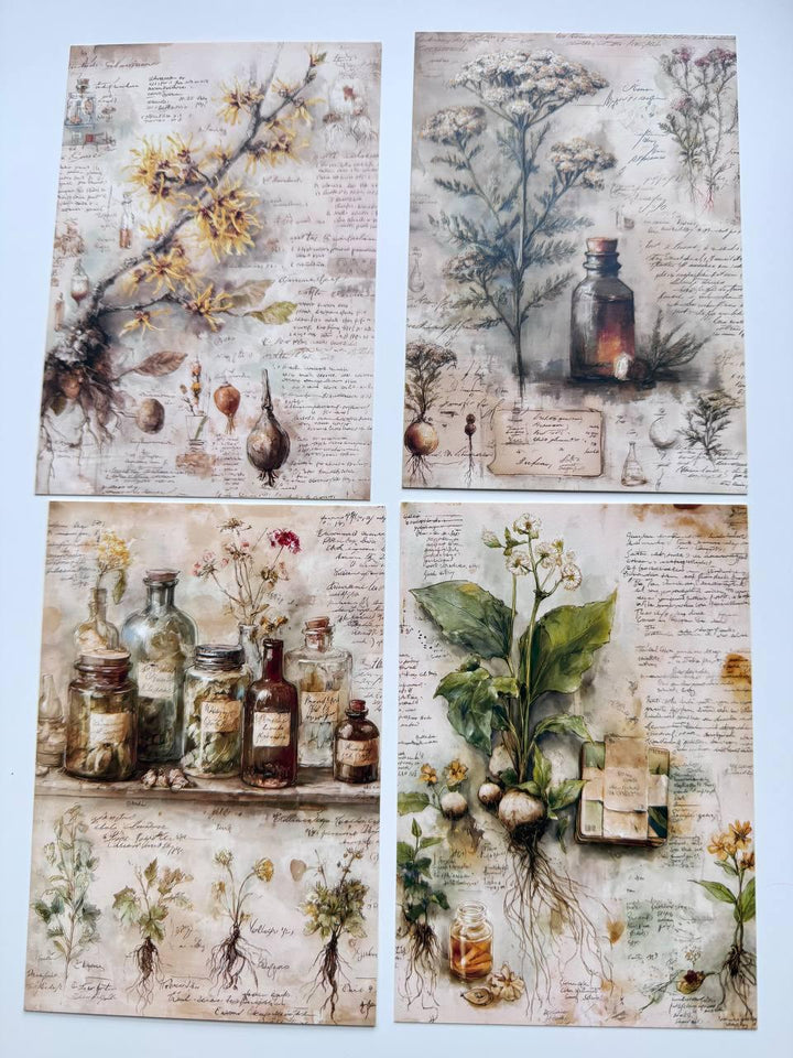 Set of 20 Vintage Botanical Postcards, Herbal Apothecary Illustrations, Junk Journal Ephemera, Scrapbooking Cards, 14.5 x 10 cm