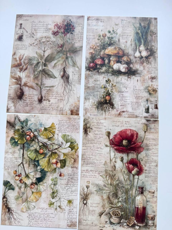 Set of 20 Vintage Botanical Postcards, Herbal Apothecary Illustrations, Junk Journal Ephemera, Scrapbooking Cards, 14.5 x 10 cm