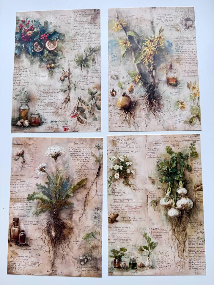 Set of 20 Vintage Botanical Postcards, Herbal Apothecary Illustrations, Junk Journal Ephemera, Scrapbooking Cards, 14.5 x 10 cm