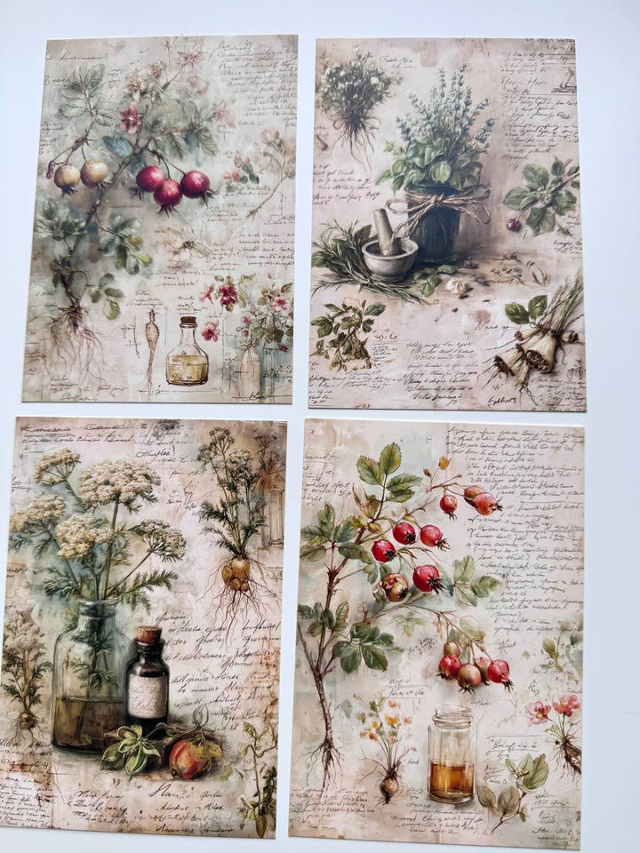 Set of 20 Vintage Botanical Postcards, Herbal Apothecary Illustrations, Junk Journal Ephemera, Scrapbooking Cards, 14.5 x 10 cm