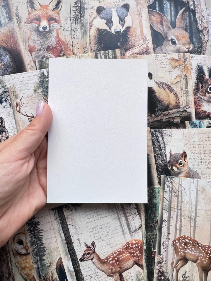 Set of 20 Woodland Animal Postcards, Vintage Forest Wildlife Cards, Rabbit Deer Fox Bird Ephemera for Junk Journal & Scrapbooking