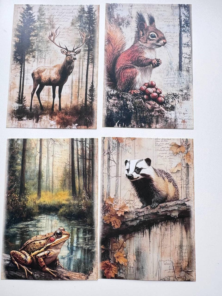 Set of 20 Woodland Animal Postcards, Vintage Forest Wildlife Cards, Rabbit Deer Fox Bird Ephemera for Junk Journal & Scrapbooking