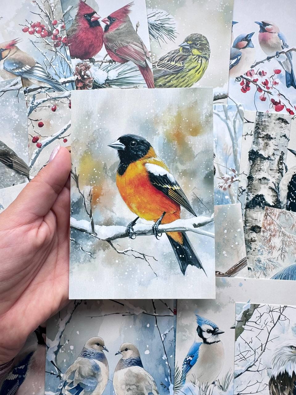 Set of 20 Winter Bird Postcards, Snowy Woodland Birds, Nature Illustration Cards, Junk Journal Ephemera, Scrapbooking Supplies, 14.5 x 10 cm