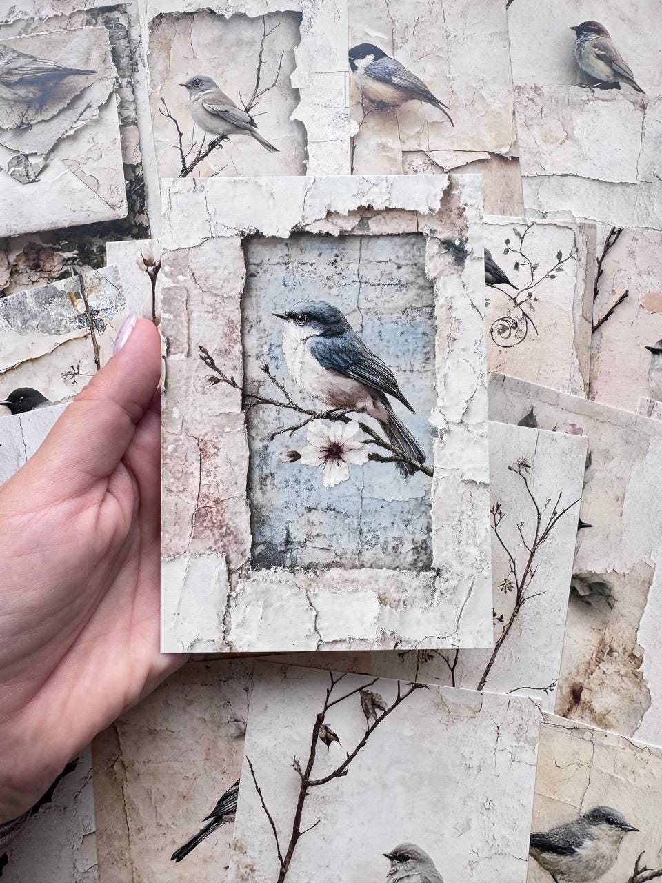 Set of 20 Vintage Bird Postcards, Shabby Chic Botanical Cards, Neutral Ephemera, Junk Journal Scrapbooking Supplies, 14.5 x 10 cm