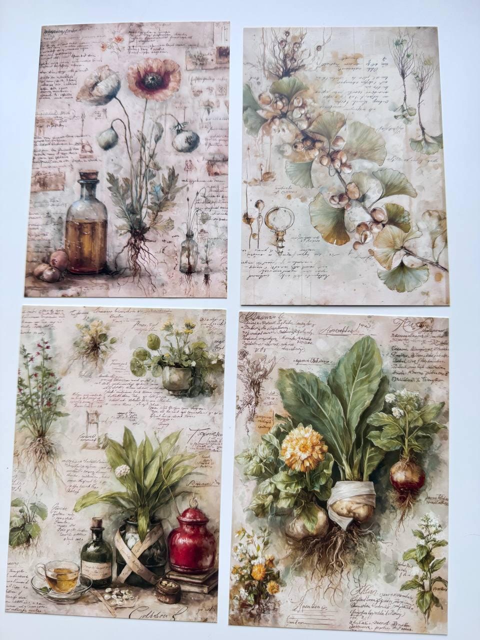 Set of 20 Vintage Botanical Postcards, Herbal Apothecary Illustrations, Junk Journal Ephemera, Scrapbooking Cards, 14.5 x 10 cm
