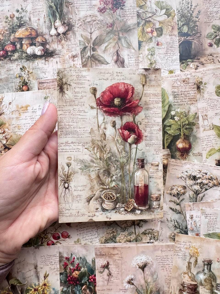 Set of 20 Vintage Botanical Postcards, Herbal Apothecary Illustrations, Junk Journal Ephemera, Scrapbooking Cards, 14.5 x 10 cm